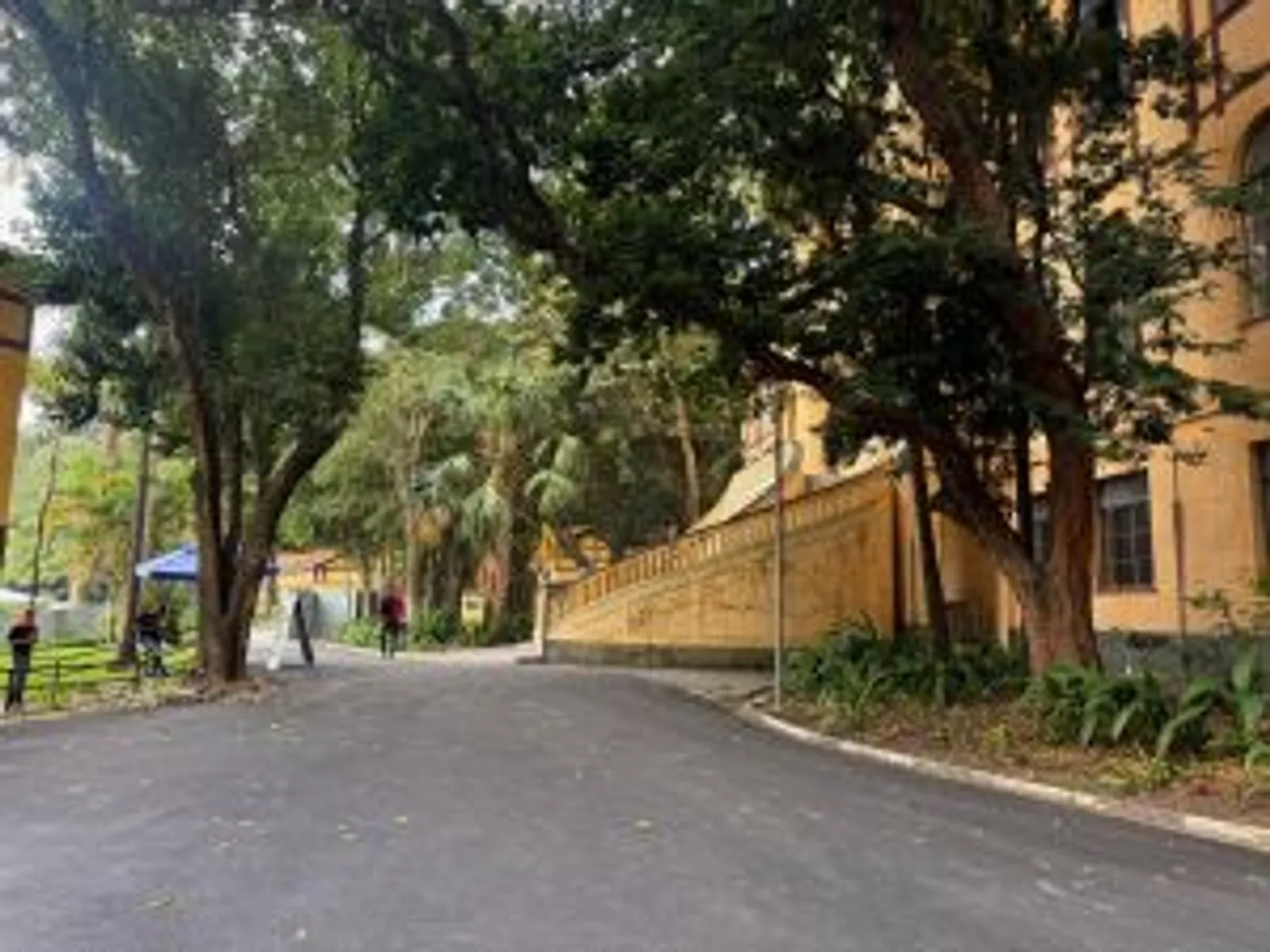 Projeto: Maria Fernanda Marques, Da terra ao solo | Imagem do 'antes' do espaço, mostrando o chão empobrecido antes da intervenção paisagística.