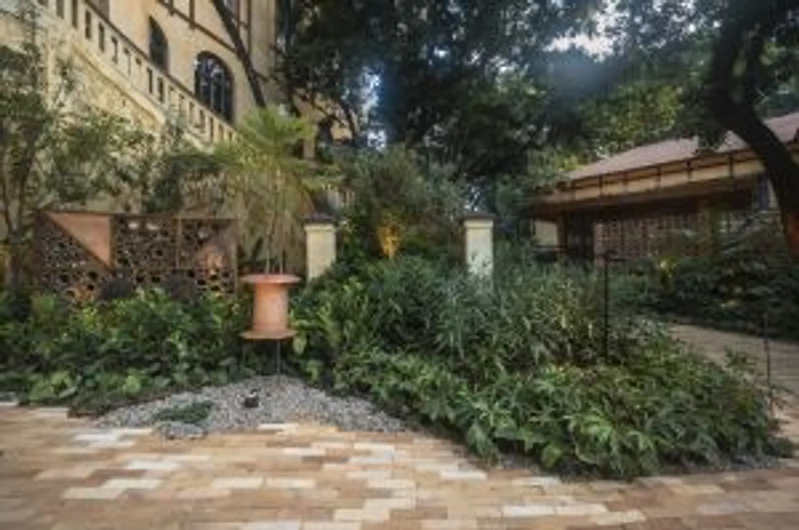 Projeto: Maria Fernanda Marques, Da terra ao solo | Caminho sinuoso dentro do jardim, convidando à desaceleração e contemplação da vegetação.