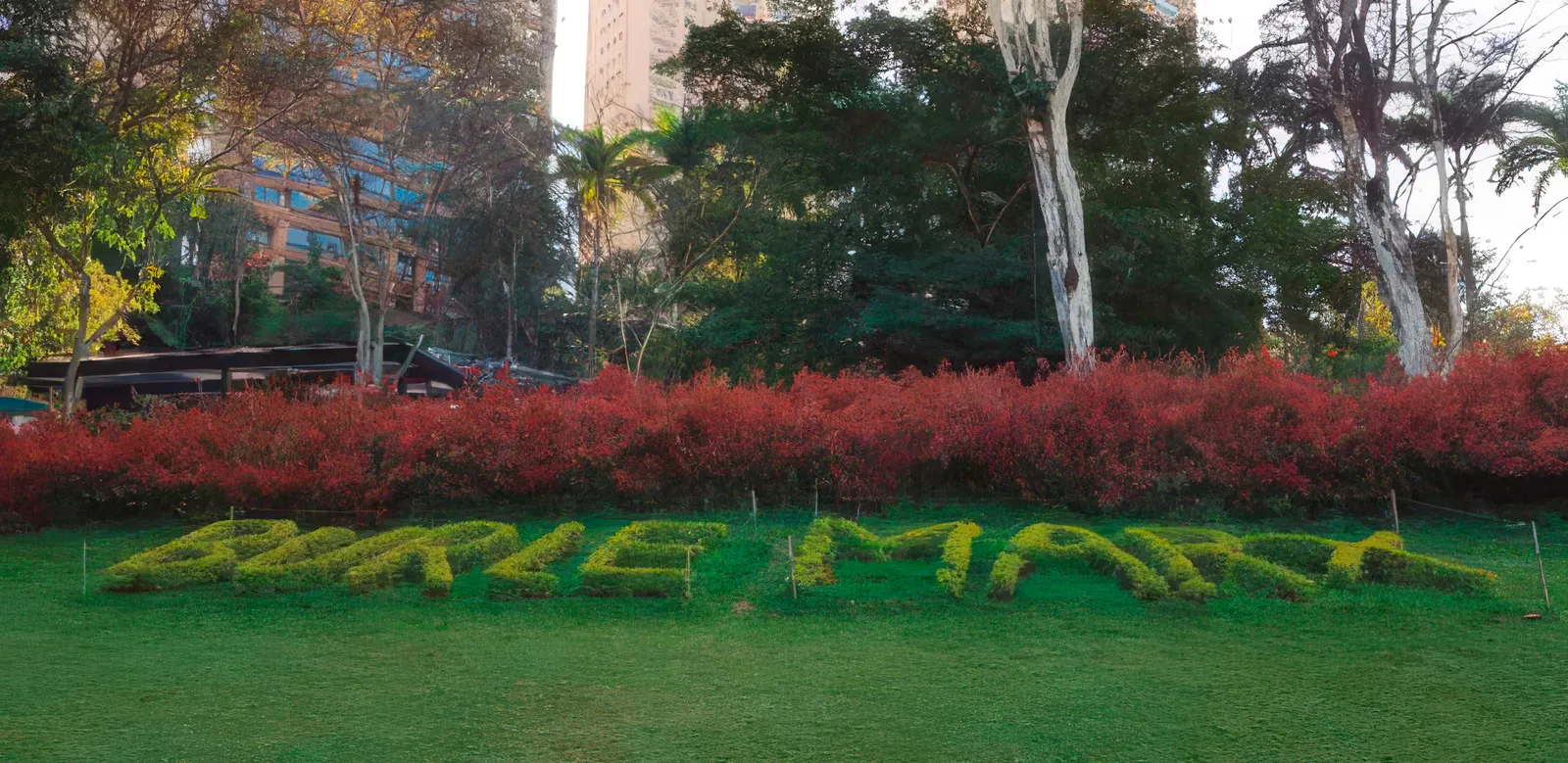 Parque Burle Marx (7)