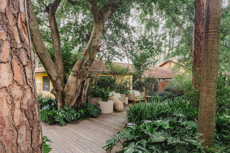 Projeto: Alexandre Galhego | Batizado de Clareira na Mata, o ambiente de Alexandre Galhego é um jardim concebido para relaxar em meio ao excesso urbano contemporâneo. O projeto para sua estreia na CASACOR São Paulo 2026 é pautado em uma relação mais sensível com a natureza e se transforma em experiência sensorial.