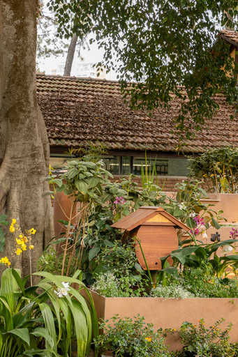 Projeto: Karin Marini, da Leve Paisagismo e Ana Lui | Caminho sinuoso entre a vegetação, convidando o visitante a explorar cada detalhe do Jardim Respiro.