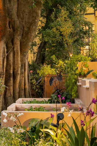 Projeto: Karin Marini, da Leve Paisagismo e Ana Lui | Vista de um dos pontos de descanso do jardim, com mobiliário e paisagismo que promovem o bem-estar.