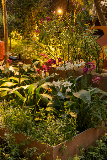 Projeto: Karin Marini, da Leve Paisagismo e Ana Lui | Detalhe das plantas e texturas que compõem o paisagismo, com foco na diversidade e no apelo sensorial.