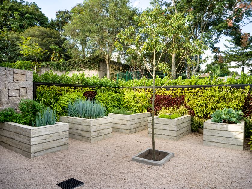 Projeto Alexandre Galhego Paisagismo | Árvores frutíferas podem integrar a composição do jardim e, ao mesmo tempo, acompanhar diferentes momentos do ano, com floração, frutificação e a presença de pássaros e polinizadores