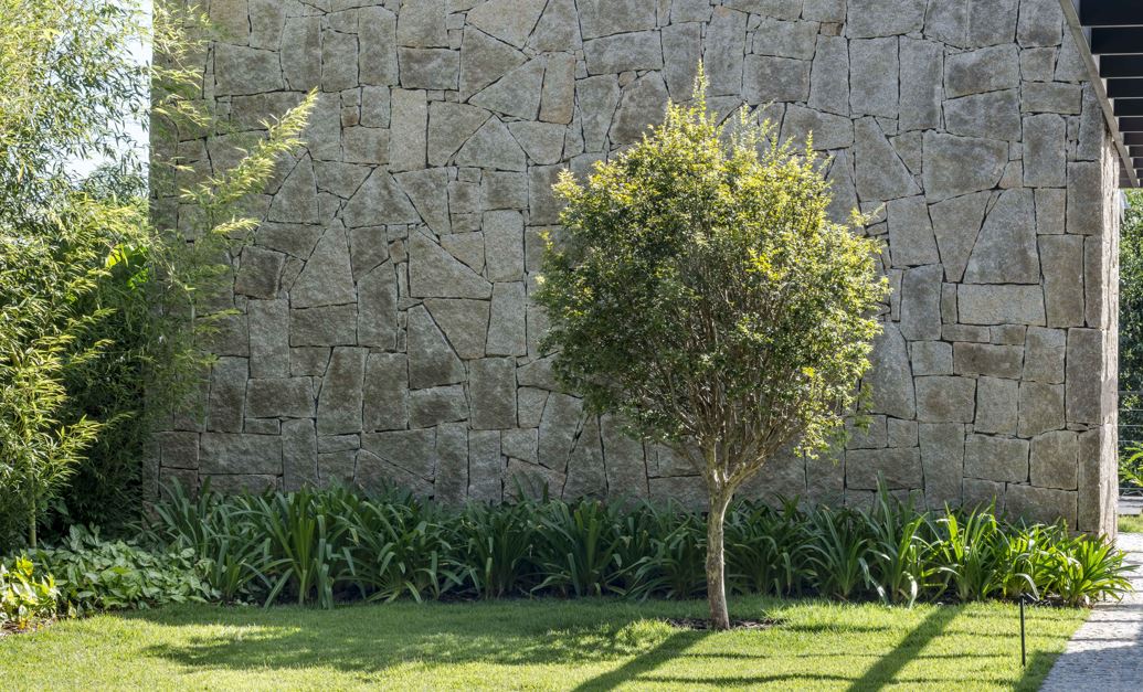 Projeto: Alexandre Galhego Paisagismo |Para contextualizar melhor, o sistema radicular é o conjunto de raízes da planta, responsável por sua sustentação e pela absorção de água e nutrientes. Na hora de escolher onde plantar é preciso entender como essas raízes se desenvolvem