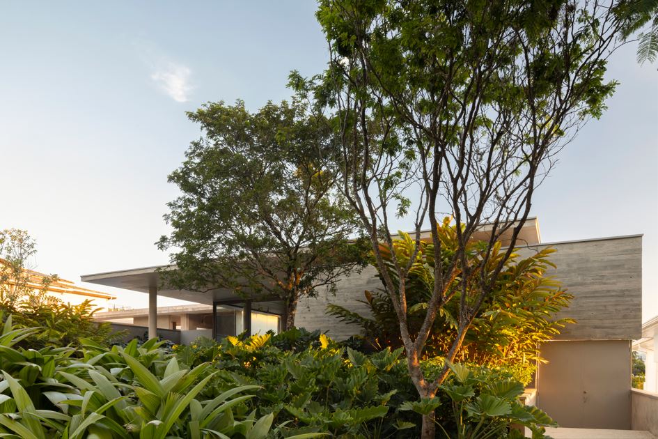 Projeto: Alexandre Galhego Paisagismo | Ao longo do ano, uma mesma árvore pode transformar a paisagem com mudanças na folhagem, na floração e na frutificação